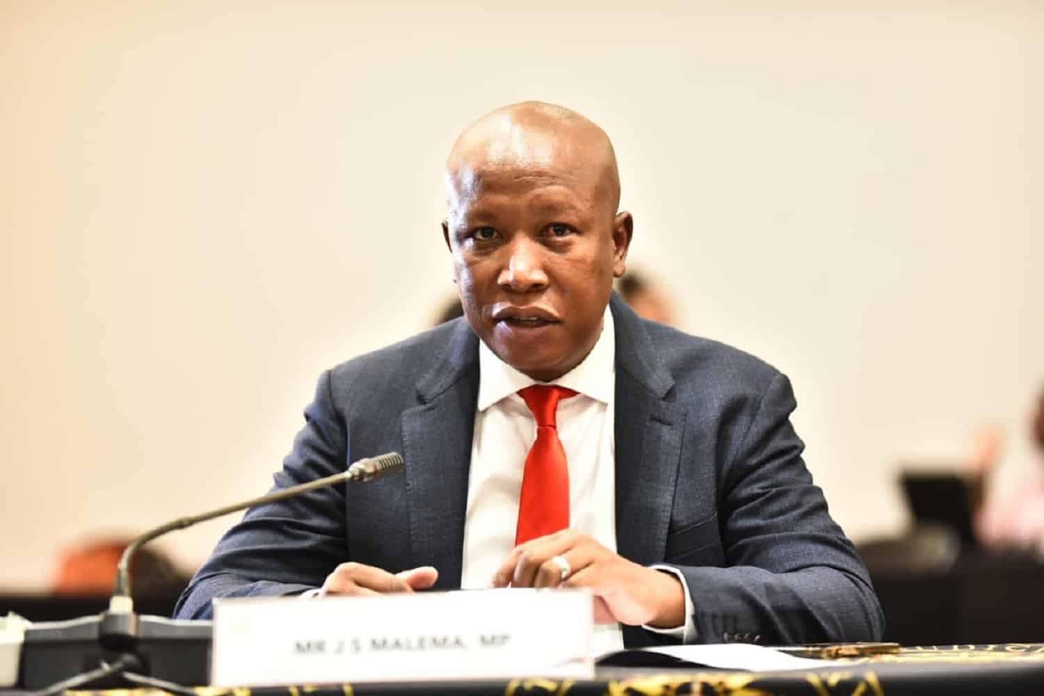 Watch: Prophecy tips Julius Malema to be South African President – The ...