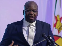 Guvamatanga under fire over circular