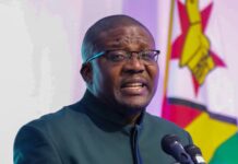 Resurgent manufacturing industry bolsters import substitution