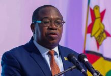 NDS1 success sets stage for NDS2