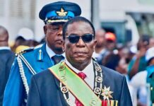 CAB3 and the Global Evolution of Presidential Systems: Why Zimbabwe’s Debate Should Shift from Politics to Constitutional Design
