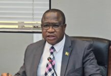 Zimbabwean economic growth model enters impactful phase