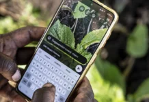 Africa’s Mobile Economy Set to Reach $290 Billion by 2030 Despite Massive Internet Usage Gap