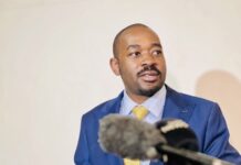 Back to the future: Why defending Zimbabwe’s constitution is defending the country