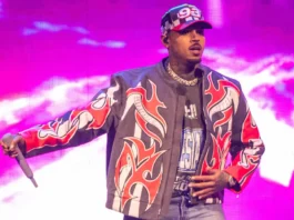 Chris Brown Mansion Hit By Another Security Breach After Trespasser Allegedly Attempts To Start Fire