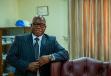 Fall-guy: Zesa boss suspended over Sona power outage