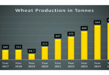 Govt exempts essential wheat imports from new SI 87 levy