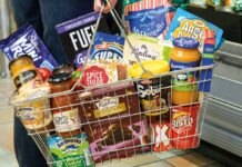 Prof. Ncube projects single-digit inflation early next year