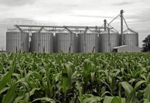 Commercial Farmers union commends doing business reforms