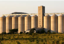 Zimbabwe’s maize crop rebounds, but falls well short of the ‘bumper harvest’ Govt promised