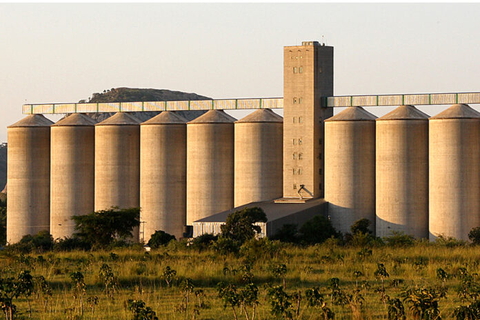 Maize silo