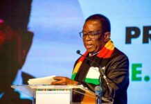 Inside the ED2030 Storm: How Mnangagwa’s Succession Battle is Splitting ZANU-PF