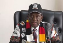 Teachers vow to resist Mnangagwa’s bid to extend rule