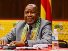 Mutsvangwa Press Briefing Exposes the Poverty of Ideas at the Heart of ZANU-PF Politics