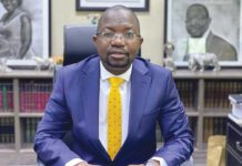 Chamisa’s lawyer jokes about Tshabangu’s sickness