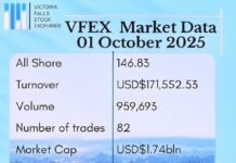VFEX Seen as Offshore Equity Market in Zimbabwe’s De-dollarisation Drive