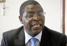 Supreme Court nullifies Welshman Ncube AI-generated legal submissions