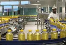 Don’t rock the boat: Why Zimbabwe’s rare period of economic ‘calm’ faces old risks