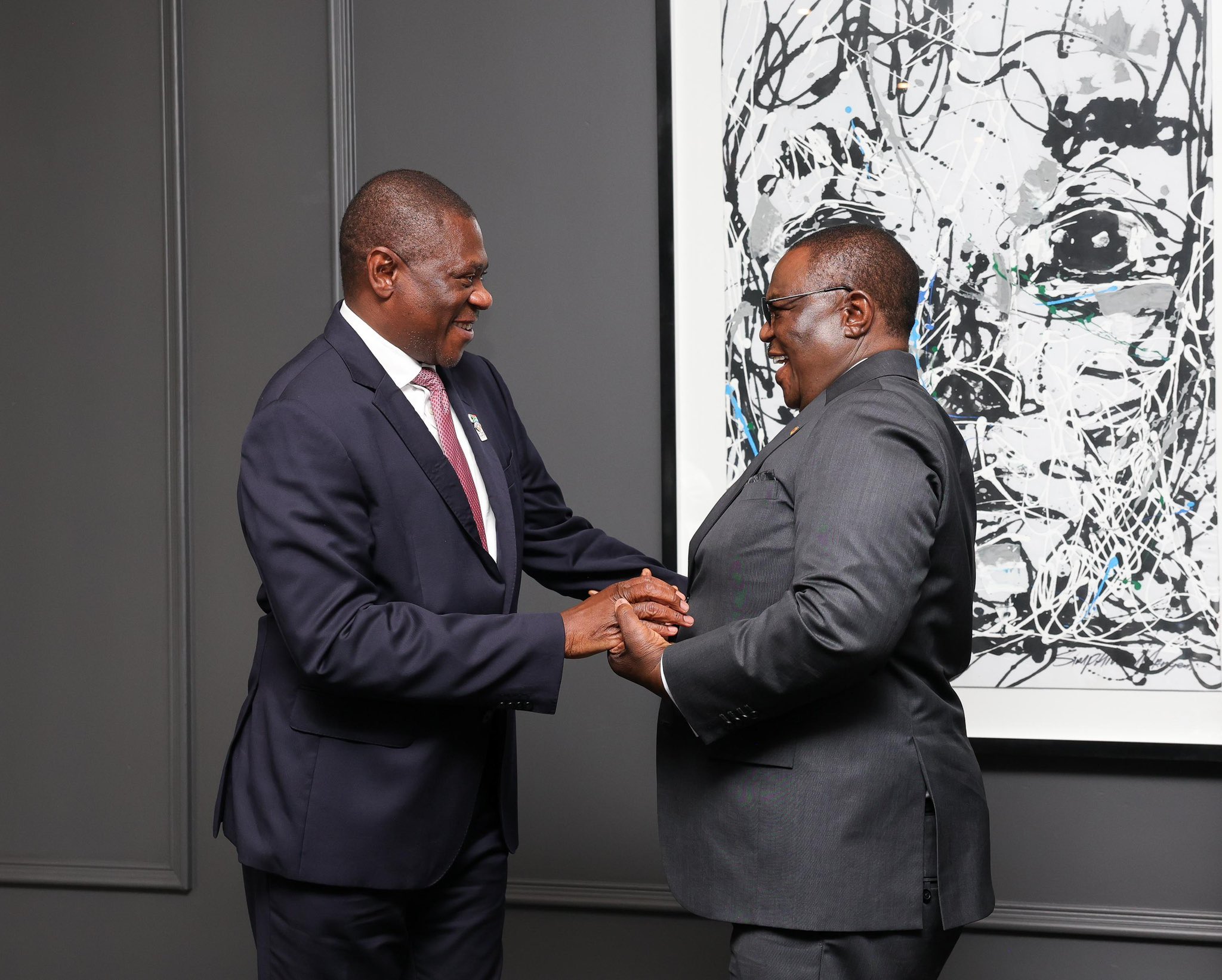 Chiwenga has paid a courtesy call on his South African counterpart, Deputy President Paul Mashatile