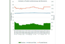 Economists call for deeper policy coordination to boost currency