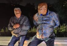 Job Sikhala arrested in South Africa after explosives found in vehicle