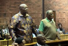 Job Sikhala to remain in custody after SA Court appearance over explosives charges