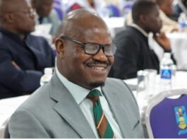 Mangwana defends plan for Parliament to elect President