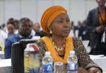 Muchinguri fingered in plot to block Sanyatwe’s rise