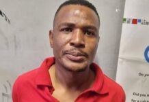 South African man sentenced for attempting to smuggle stolen Toyota Hilux to Zimbabwe