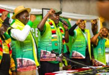 ZANU-PF Heavyweights Jostle for Tagwirei’s attention
