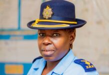 ‘Musatakure zvombo zvinokuvadza’