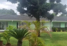 Landmark High Court Judgement Places Diaspora’s Properties on The Hammer