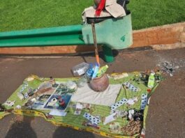 MPs fret over rituals at Parly doorstep