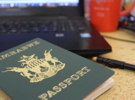 Passport on iPhone: How Zimbabwe Should Plan to Rollout Smarter Travel