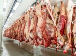 CSC seeks post rescue turnaround specialist