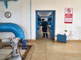 Deaths of municipal technicians in Zimbabwe from noxious gases linked to lack of chemistry expertise