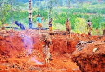 Extraction Without Transformation: The Structural Risks of a Gold-Dependent Economy