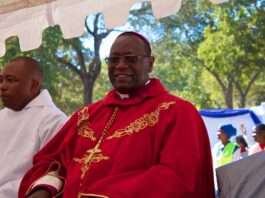 Constitutional Court dismisses Makoni bid to block enforcement of UK divorce ruling