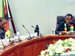 Chiwenga told Attorney General ‘South Africa no example at all’ during fierce cabinet clashes