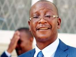 Constitutional amendment makes diaspora vote possible — Ziyambi