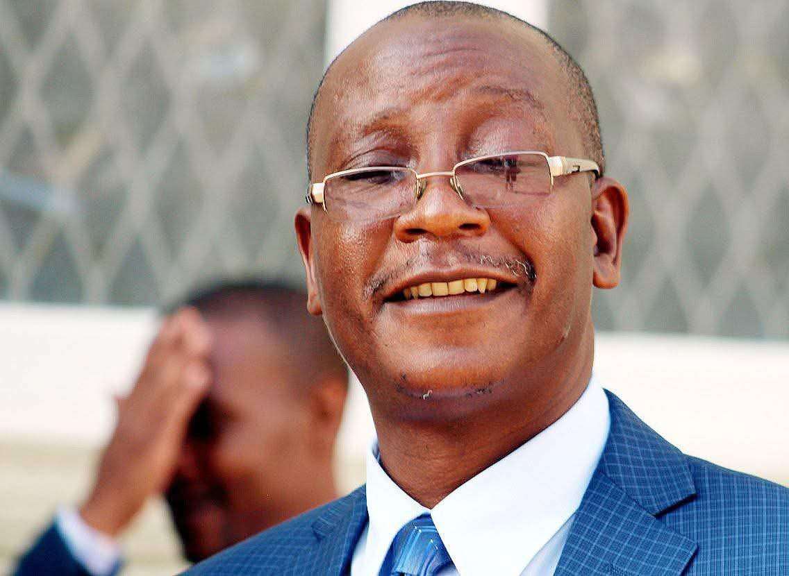 Constitutional amendment makes diaspora vote possible — Ziyambi