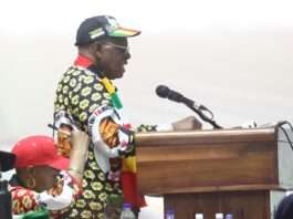 Constitutional Amendment: ZANU-PF Risks Violating Conditions of Its Own Congress Resolution