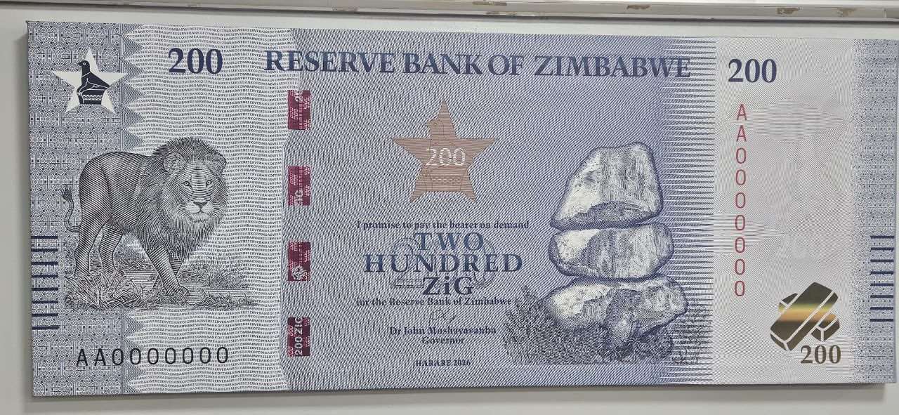 ZiG Awareness Campaign Reaches Over 256,000 People Nationwide