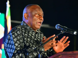 Ramaphosa Distances Government from Vigilante Immigration Checks Amid Rising Xenophobia Concerns