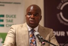 Waste Management Executive Calls for Immediate Removal of Vendors from Harare City Centre