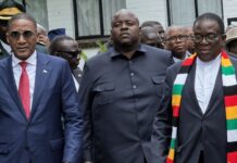 Chivayo lashes out at Coltart over criticism of ZITF Hulking appearance with presidents