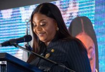 Real-time digital traffic surveillance systems