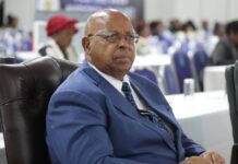 Mnangagwa 2030 bid in bizarre turn