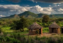 Rural Industrialisation Is a Costly Illusion: Why Zimbabwe Must Focus on Urban Industrial Growth, Depopulate Rural Areas
