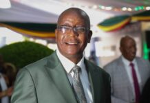 Parliament claims 99.4 percent of Zimbabweans back Mnangagwa 2030 bid